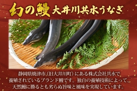 幻の鰻 大井川共水鰻蒲焼 3尾 ウナギ 鰻 国産 山椒 タレ たれ 養殖 大井川 共水うなぎ ブランド 土用 丑の日 蒲焼き 熟練の技 冷凍 うなぎ割烹 にし村 お取り寄せ 贈り物 贈答用 ギフト ご馳走 お祝い 送料無料 千葉県 松戸市 