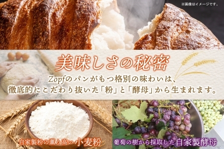 Zopf ツオップ ベーグル 詰め合わせセット パン 自家製酵母 酵母 全粒粉 パン職人 こだわり ハードパン ソフトパン 本格パン 菓子パン もちもち バゲット クロワッサン デニッシュ ブルーベリー 焼きたて 朝食 ランチ 贈り物 ギフト 千葉県 松戸市 