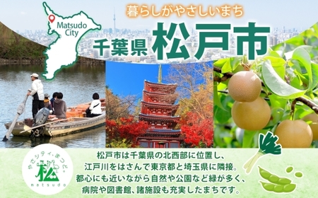 やみつきスパイス 酒舞 5個セット  調味料 オリジナルスパイス オリジナル調味料 荒挽きブレンド 万能スパイス キャンプ BBQ アウトドア 人気 ギフト プレゼント 焼き肉 焼肉 サラダ スープ  調理 お手軽 山椒 食塩 赤唐辛子花椒 ガーリック ホワイトペッパー 松戸 千葉