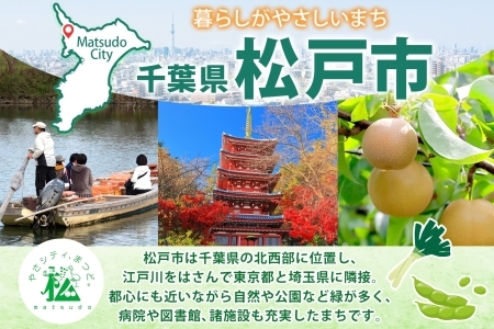 合同酒精 昔懐かしいラムネサワー 350ml×24本 懐かしい 昔ながら ラムネ サワー 缶チューハイ チューハイ お酒 酒 アルコール アルコール飲料 屋台 爽やか 爽快 炭酸 甘酸っぱい 夏祭り 屋台飯 お取り寄せ ご当地 送料無料 千葉県松戸市