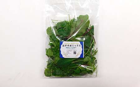 No.157 【毎月定期便3回】朝採りお日様リーフ5種セット