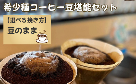 希少種コーヒー堪能セット（豆） No.177-01