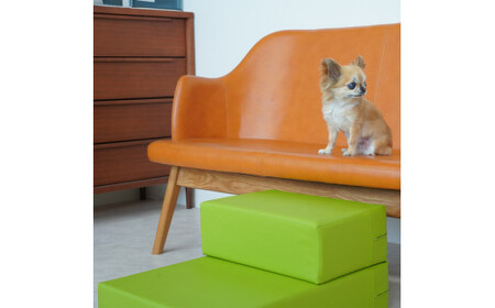 PVCレザードッグステップ「CHITO」Mサイズ（ブラウン） No.257-05