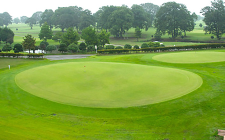 野田市パブリックゴルフ場ひばりコース平日利用券 No.296