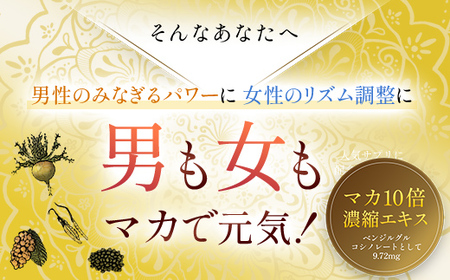 75909_DHC マカ 30日分 2個セット（60日分） MBB024