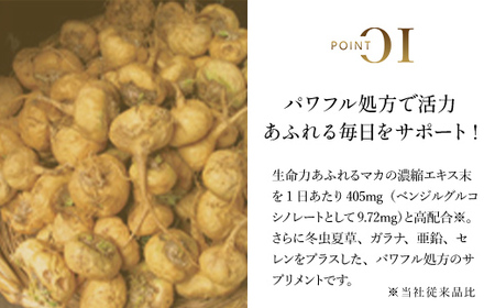 75909_DHC マカ 30日分 2個セット（60日分） MBB024