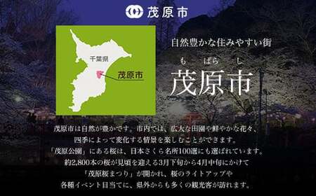 手作りキムチ3種詰め合わせ MBM001