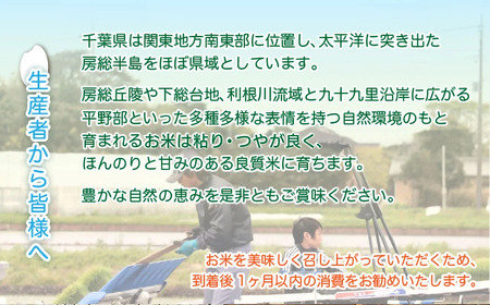 令和7年産 千葉県産粒すけ 精米 10kg(5kg×2袋) MBAD007