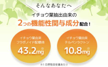 75911_【機能性表示食品】DHCイチョウ葉脳内α(アルファ) 30日分 4個セット（120日分） MBB026