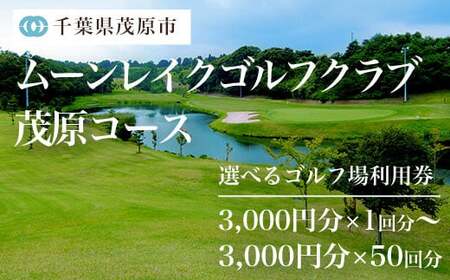 ムーンレイクゴルフクラブ ゴルフ場利用券(3,000円分×9枚) MBG009