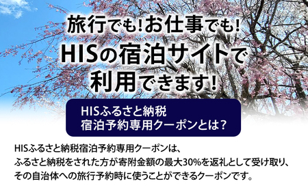 HISふるさと納税宿泊予約専用クーポン（千葉県成田市）60,000円分