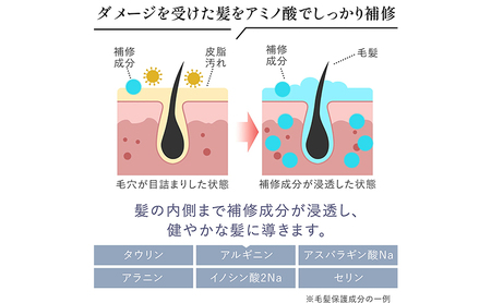 ノンシリコンアミノ酸シャンプー 衣薫（ころもかおる）リフィル シャンプー ドライヘア ダメージヘア 地肌に優しい 天然由来成分 髪滑らか サラり 艶髪 頭皮ケア 詰替え用