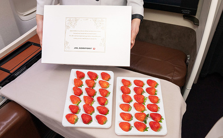 【先行予約】JALの直営農園からお届け ファーストクラス採用の「JAL Agriportのいちご」1箱 2パック いちごイチゴ 朝採り ファーストクラス 機内食 成田市 千葉県