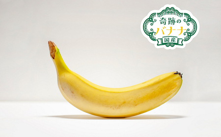 皮ごと食べられる国産無農薬バナナ「奇跡のバナナ」 | 千葉県成田市