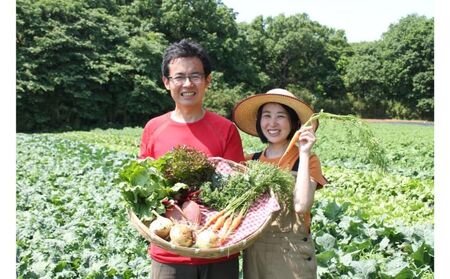 【農家直送】農薬不使用季節の野菜セット（10品）