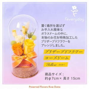 プリザーブドフラワーローズドーム イエロー系 お祝いやお誕生日におすすめ【配送不可地域：離島・沖縄県】【1636499】