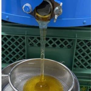 千葉県佐倉市産 百花蜂蜜 食べ比べセット(計3本)【1679008】