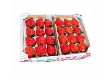 No.075 【市東農園のいちご】やよい姫　約900g