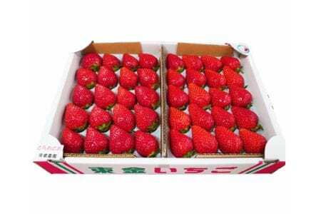 No.076 【市東農園のいちご】とちおとめ　約900g