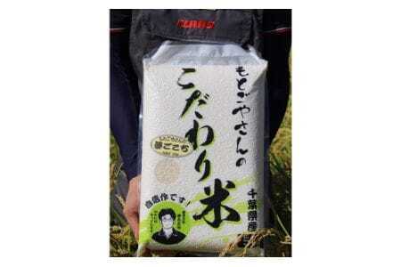 No.181 精白米　夢ごこち10kg