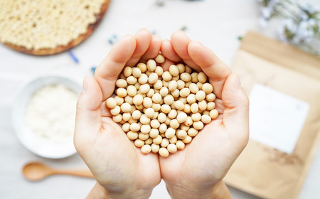 No.297 オーガニックプロテイン 280g×4袋セット / ソイプロテイン タンパク質 希少 国産 有機大豆 有機素材 やさしさ 子供 大人 筋肉 こだわり 安心 夢のプロテイン 千葉県