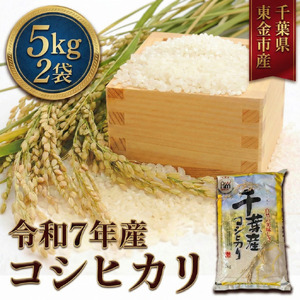 No.347 令和7年産 コシヒカリ5kg×2袋（千葉県東金市産） ／ 米 お米 こしひかり ご飯 香り 粘り 甘味 お弁当 食事 東金市 千葉県