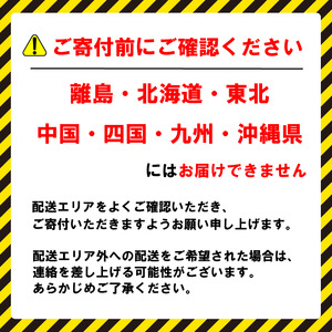 【 先行予約 2026年度発送】 特選 活 伊勢海老 2尾 約500~550g 伊勢海老 イセエビ
