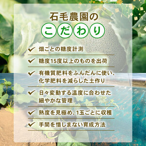 ＜2026年先行予約＞ タカミメロン 青肉 3L×4玉セット 6月発送 メロン メロン メロン メロン メロン メロン 青肉 青肉 青肉