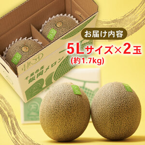 ＜2026年先行予約＞ タカミメロン青肉 5L×2玉 6月・7月発送 ﾒﾛﾝ ﾀｶﾐﾒﾛﾝ ﾒﾛﾝ ﾒﾛﾝ ﾒﾛﾝ