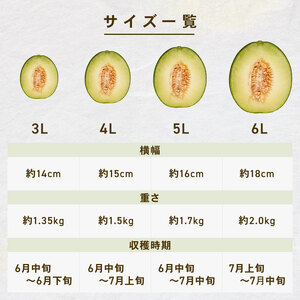 ＜2026年先行予約＞ タカミメロン青肉 5L×2玉 6月・7月発送 ﾒﾛﾝ ﾀｶﾐﾒﾛﾝ ﾒﾛﾝ ﾒﾛﾝ ﾒﾛﾝ