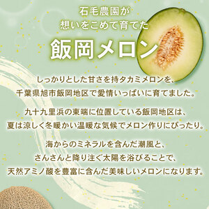 <2026年先行予約> タカミメロン 青肉&赤肉 6L×各1玉 メロン メロン メロン メロン メロン メロン