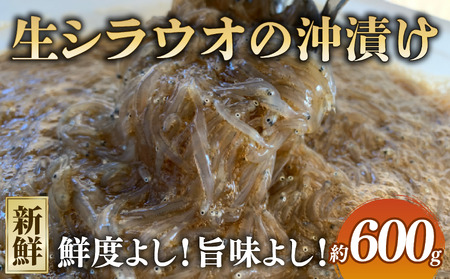生シラウオの沖漬け 600g (100g×6P) 【 ｼﾗｳｵ ｼﾗｽ 】