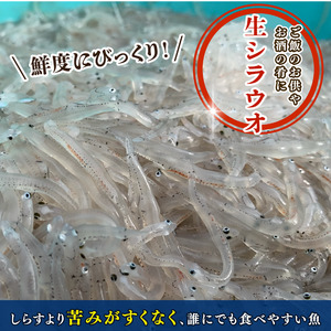 生シラウオの沖漬け 600g (100g×6P) 【 ｼﾗｳｵ ｼﾗｽ 】