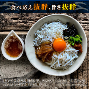 生シラウオの沖漬け 600g (100g×6P) 【 ｼﾗｳｵ ｼﾗｽ 】