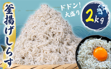 釜揚げしらす 約 2kg (約250gx8P) 【 しらす 】
