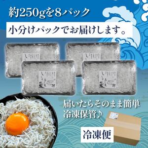 釜揚げしらす 約 2kg (約250gx8P) 【 しらす 】