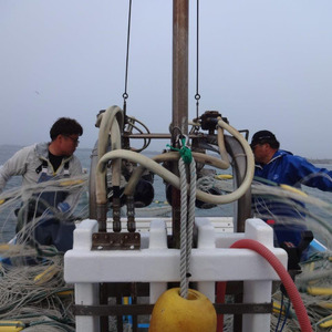 天日干ししらす 1kg (250gx4P) 国産 九十九里産 【 しらす 天日干し 】