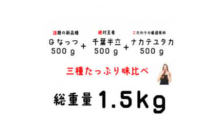 三種落花生味比べセット(1.5kg)各500g|千葉県旭市 落花生