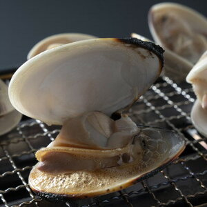 はまぐり 2kg 【 はまぐり 蛤 】