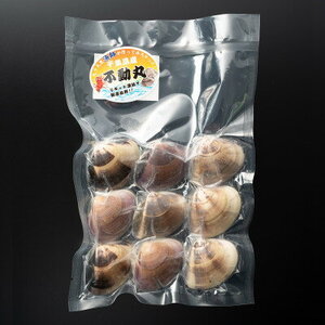 九十九里産 冷凍 はまぐり 3kg 【 はまぐり 蛤】