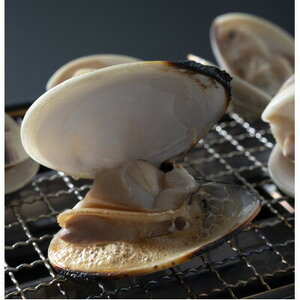 九十九里産 冷凍 はまぐり 3kg 【 はまぐり 蛤】