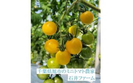 ミニトマトジュース (赤180ml 3本・黄180ml 1本 合計4本入) トマトジュース ブランド お日様えくぼ(R) 【トマトジュース】