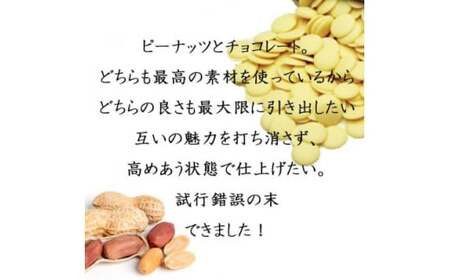 ピーナッツ 塩みるく ピーナッツショコラ 510g