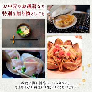 活 はまぐり 九十九里産  約1kg 【 はまぐり 】