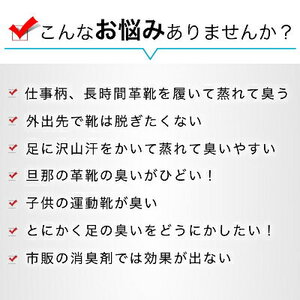 靴の消臭剤 トルコ 1本 【消臭剤】