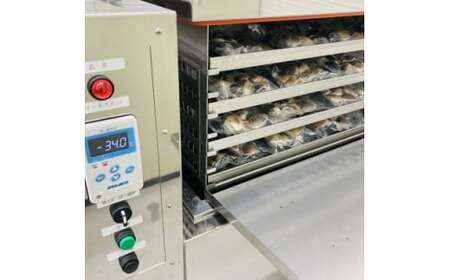 冷凍ハマグリ約2.5kg(20-40gサイズ) はまぐり 蛤