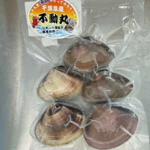 はまぐり 約2kg 大サイズ 天然 【 ハマグリ 蛤】