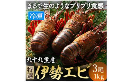 【 先行予約 2026年度発送】 冷凍伊勢海老 3尾 約1kg 刺身用
