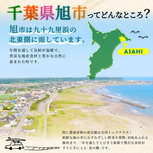 【 先行予約 2026年度発送】 冷凍伊勢海老 4尾 約2kg 刺身用