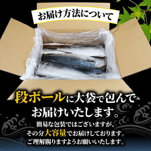訳あり塩サバフィーレ約3kg 規格外 【 鯖 】